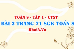 Bài 2 trang 71 SGK Toán 8 Tập 1 Chân trời sáng tạo